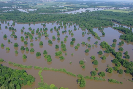 Auenlandschaft der Mittelelbe bei Dessau, Hochwasser im Juni 2013, Foto: Mathias Scholz